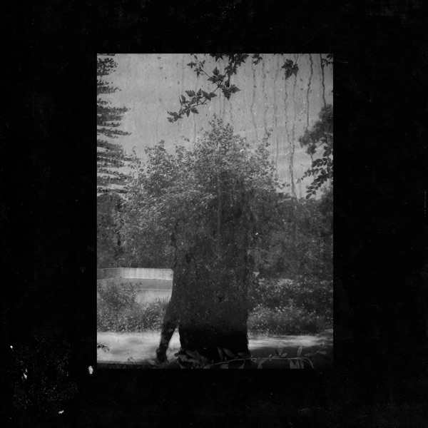 Photograph representing Grouper — Ruins